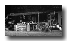 "Street Side Stand"